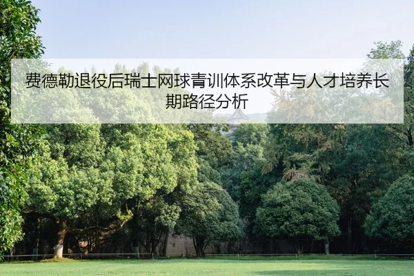 fei-de-lei-tui-yi-hou-rui-shi-wang-qiu-qing-xun-ti-xi-gai-ge-yu-ren-cai-pei-yang-chang-qi-lu-jing-fen-xi-2-618.jpg